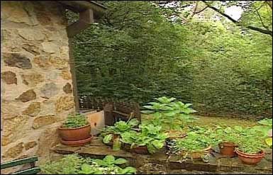 Pots on Wall