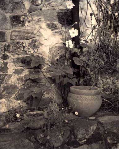 Two Pots on Stone Wall