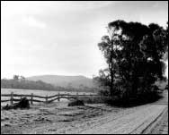 Roadside Landscape