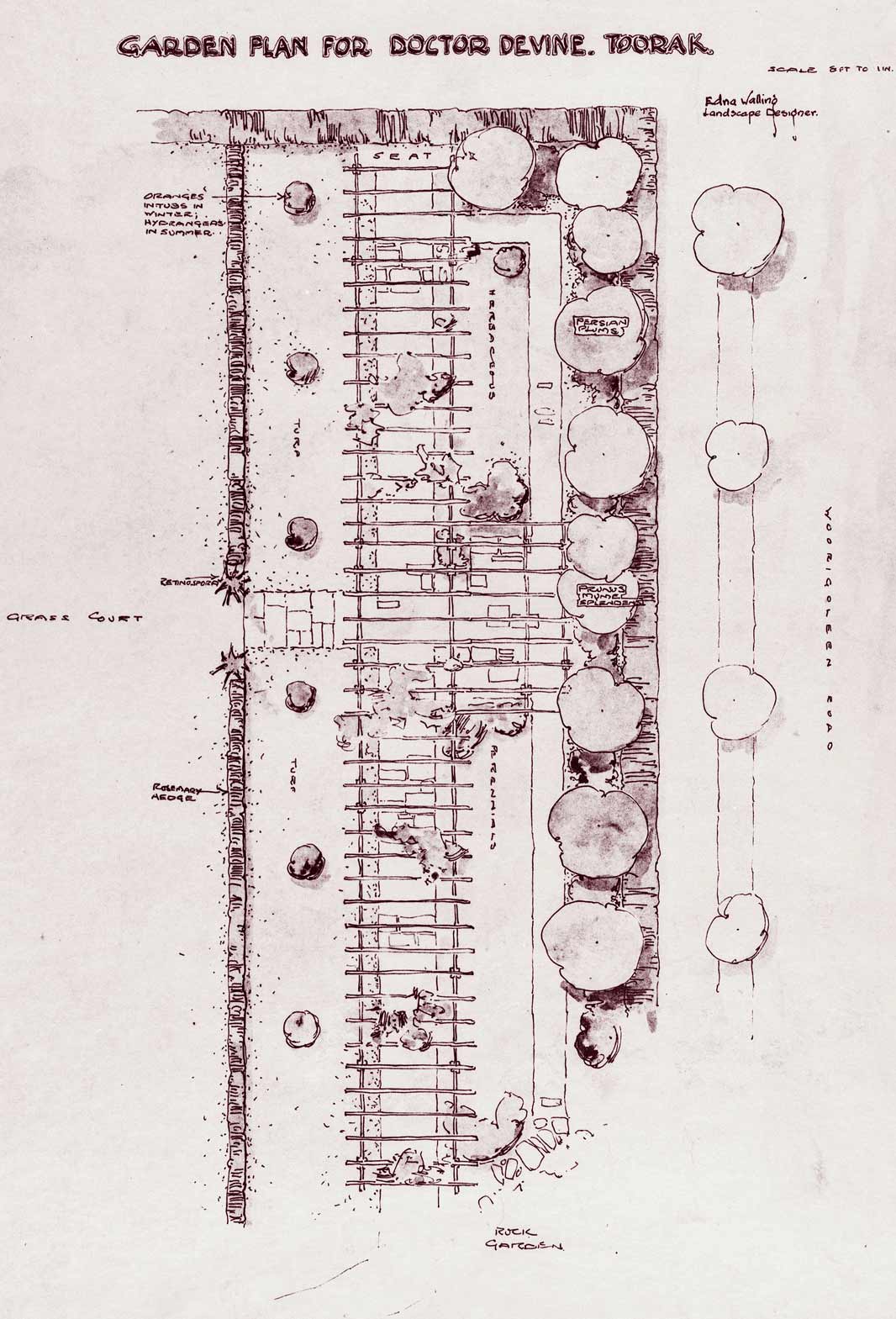 Garden Plan, Devine.