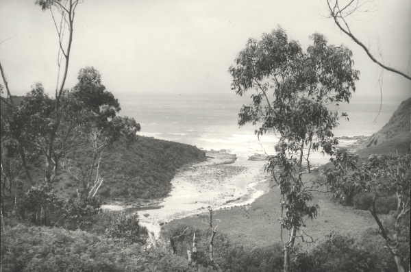 The Mouth of the Grassy Creek