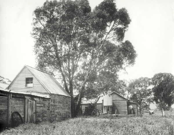 Sheds at Markdale 