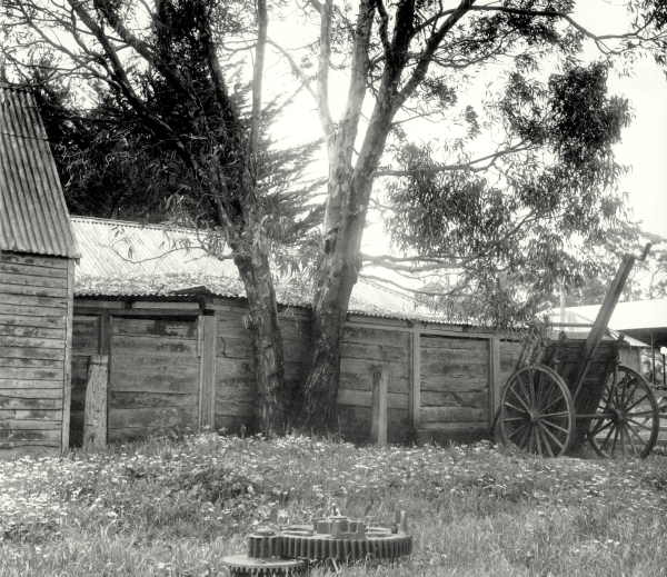 Sheds and Cart at Markdale 