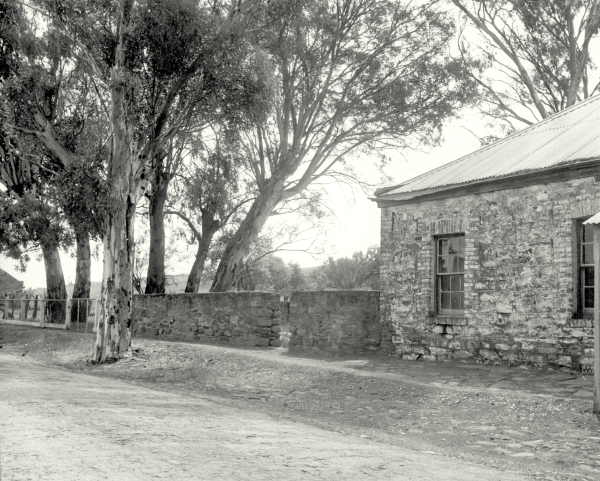 The Western Highway 
