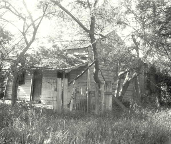 Wooden Cottage at Markdale 