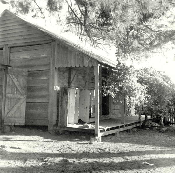The First Markdale Homestead 