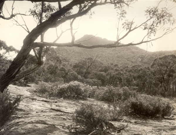 Landscape - Victoria 