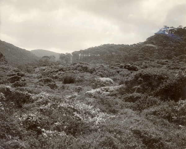 Edge of the Otway Ranges