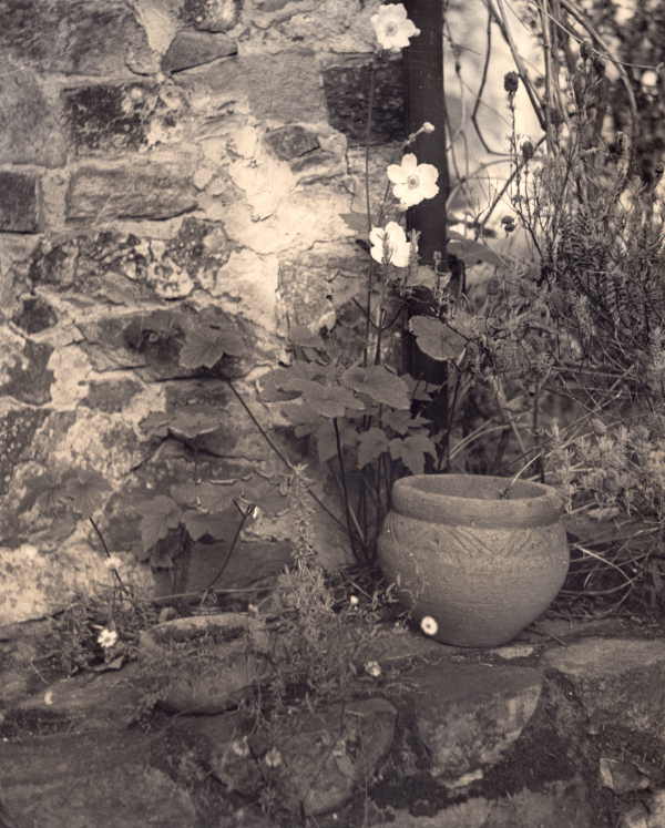 Two Pots on Stone Wall