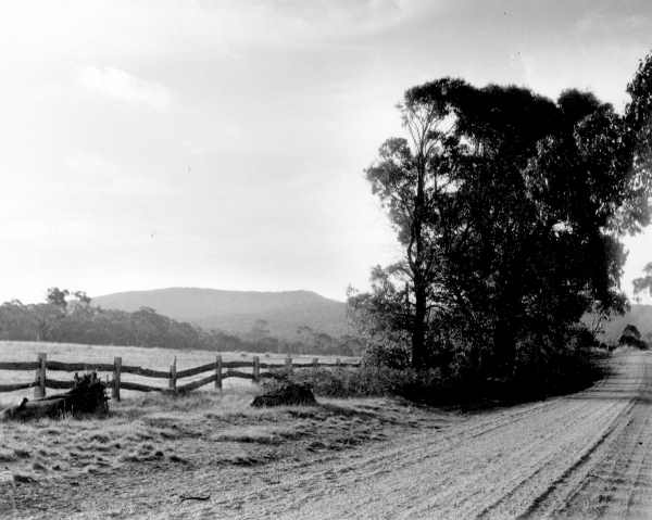 Roadside Landscape 