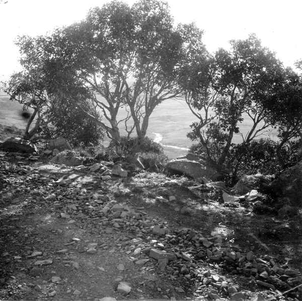 The Source of the Snowy River