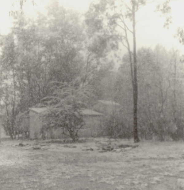 View of Sheds - Sonning.