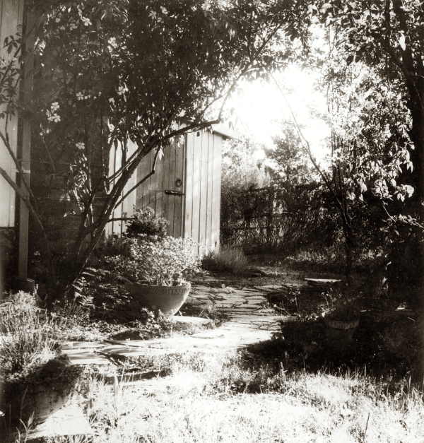 Pot Plants and Staircase - The Barn. 