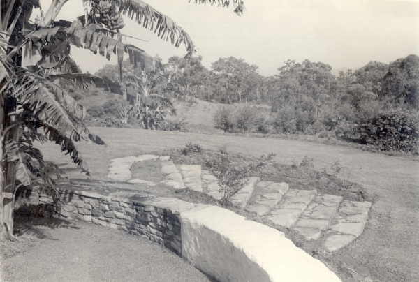 'Coolalinga' Buderim.